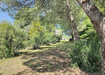 Foto 7 - Rustico Contrada Casarica, Acquaviva Picena - foto 7