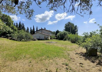 Foto 16 - Rustico Contrada Casarica, Acquaviva Picena - foto 16