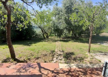 Foto 20 - Rustico Contrada Casarica, Acquaviva Picena - foto 20