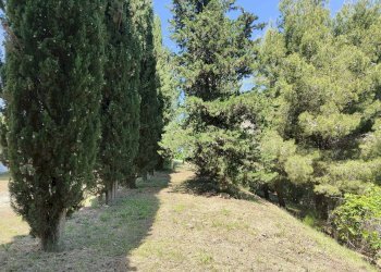 Foto 27 - Rustico Contrada Casarica, Acquaviva Picena - foto 27