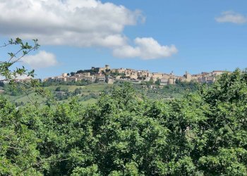 Foto 29 - Rustico Contrada Casarica, Acquaviva Picena - foto 29