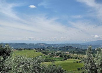 Foto 56 - Rustico Contrada Casarica, Acquaviva Picena - foto 56