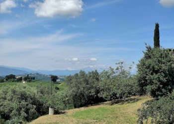 Foto 69 - Rustico Contrada Casarica, Acquaviva Picena - foto 69