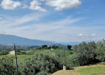 Foto 71 - Rustico Contrada Casarica, Acquaviva Picena - foto 71