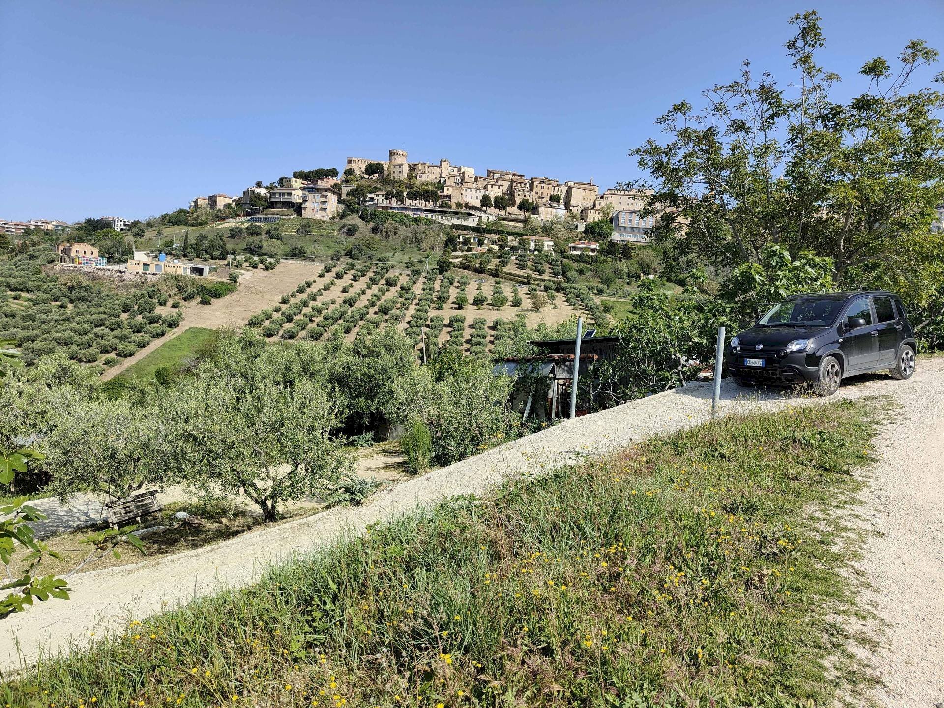 Foto 2 - Terreno agricolo Contrada fonte Palanca, Acquaviva Picena - foto 2