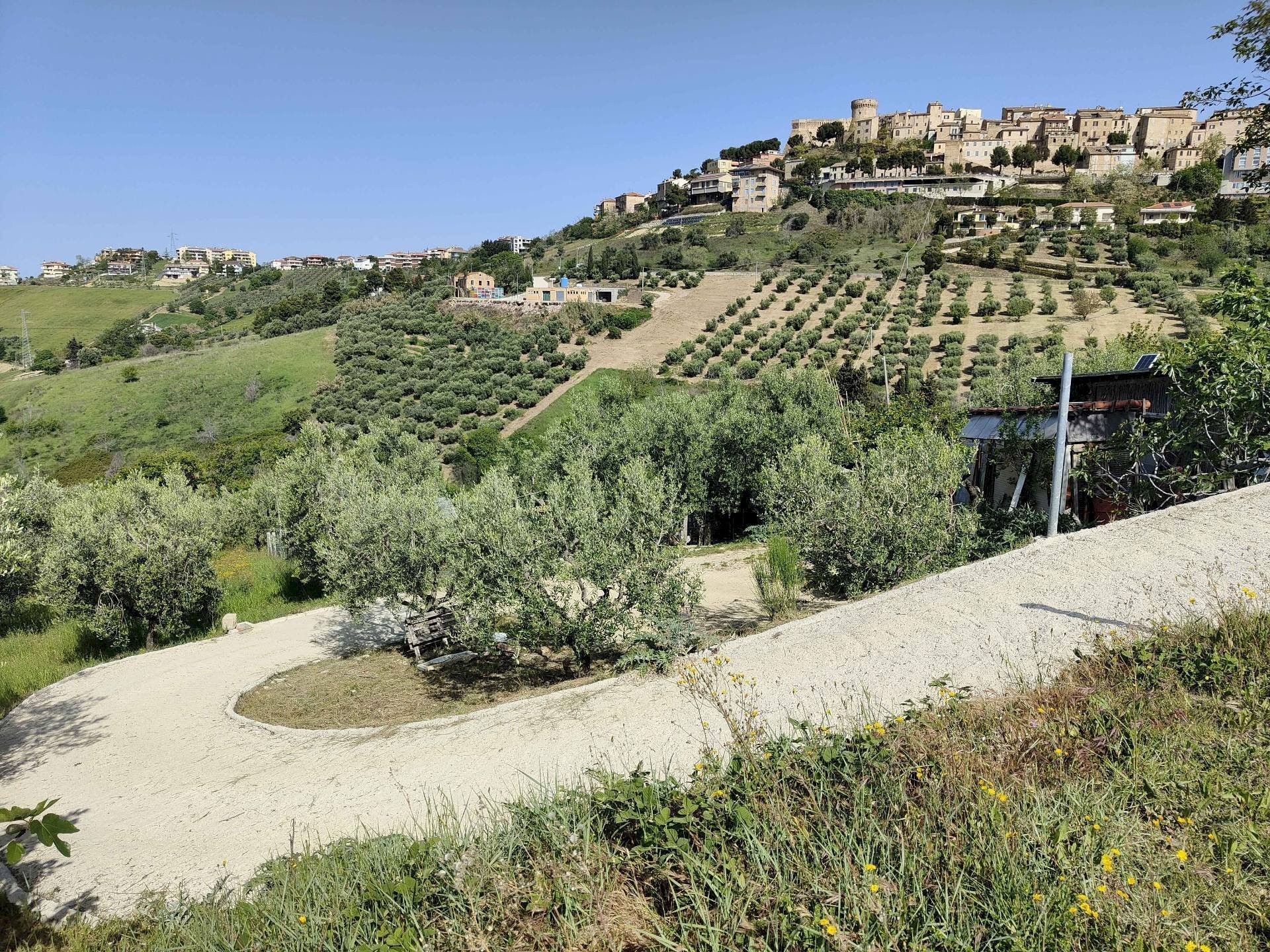 Foto 3 - Terreno agricolo Contrada fonte Palanca, Acquaviva Picena - foto 3