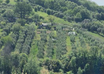 Foto 1 - Terreno agricolo Contrada fonte Palanca, Acquaviva Picena - foto 1
