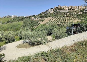 Foto 3 - Terreno agricolo Contrada fonte Palanca, Acquaviva Picena - foto 3