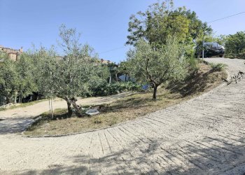 Foto 5 - Terreno agricolo Contrada fonte Palanca, Acquaviva Picena - foto 5