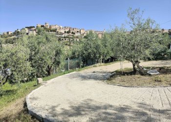 Foto 6 - Terreno agricolo Contrada fonte Palanca, Acquaviva Picena - foto 6