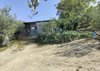 Foto 7 - Terreno agricolo Contrada fonte Palanca, Acquaviva Picena - foto 7