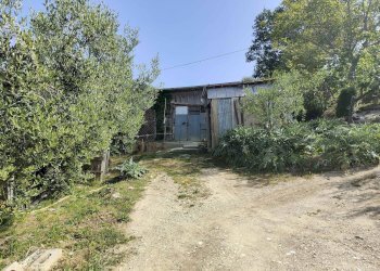 Foto 8 - Terreno agricolo Contrada fonte Palanca, Acquaviva Picena - foto 8