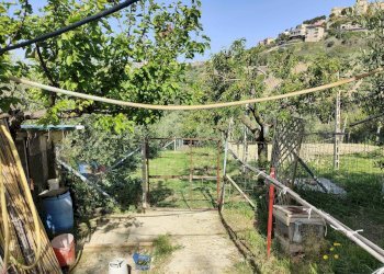 Foto 9 - Terreno agricolo Contrada fonte Palanca, Acquaviva Picena - foto 9