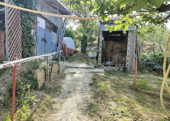 Foto 13 - Terreno agricolo Contrada fonte Palanca, Acquaviva Picena - foto 13