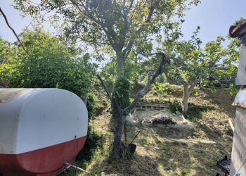 Foto 14 - Terreno agricolo Contrada fonte Palanca, Acquaviva Picena - foto 14