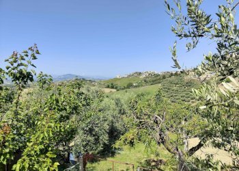 Foto 16 - Terreno agricolo Contrada fonte Palanca, Acquaviva Picena - foto 16