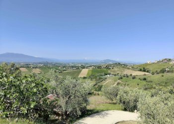 Foto 18 - Terreno agricolo Contrada fonte Palanca, Acquaviva Picena - foto 18