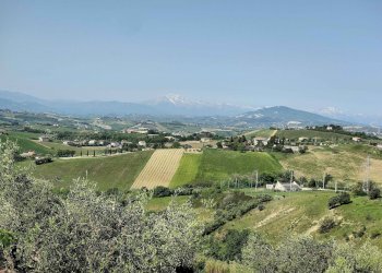 Foto 19 - Terreno agricolo Contrada fonte Palanca, Acquaviva Picena - foto 19