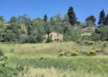 Foto 2 - Rustico Contrada Acquarola
 
3, Ripatransone - foto 2