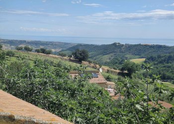 Foto 7 - Rustico Contrada Acquarola
 
3, Ripatransone - foto 7