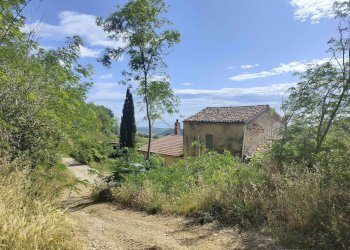 Foto 8 - Rustico Contrada Acquarola
 
3, Ripatransone - foto 8