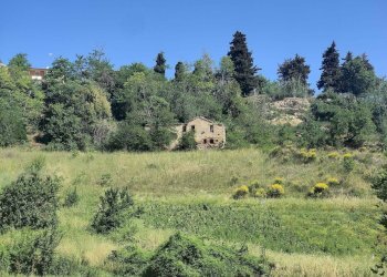 Foto 11 - Rustico Contrada Acquarola
 
3, Ripatransone - foto 11