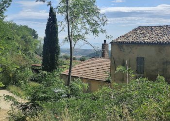 Foto 12 - Rustico Contrada Acquarola
 
3, Ripatransone - foto 12