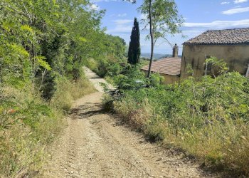 Foto 14 - Rustico Contrada Acquarola
 
3, Ripatransone - foto 14