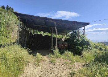 Foto 15 - Rustico Contrada Acquarola
 
3, Ripatransone - foto 15