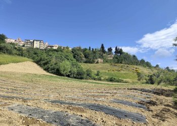 Foto 56 - Rustico Contrada Acquarola
 
3, Ripatransone - foto 56