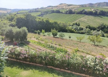 Foto 71 - Rustico Contrada Sant'Angelo, Acquaviva Picena - foto 71