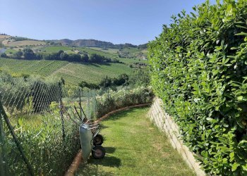 Foto 77 - Rustico Contrada Sant'Angelo, Acquaviva Picena - foto 77