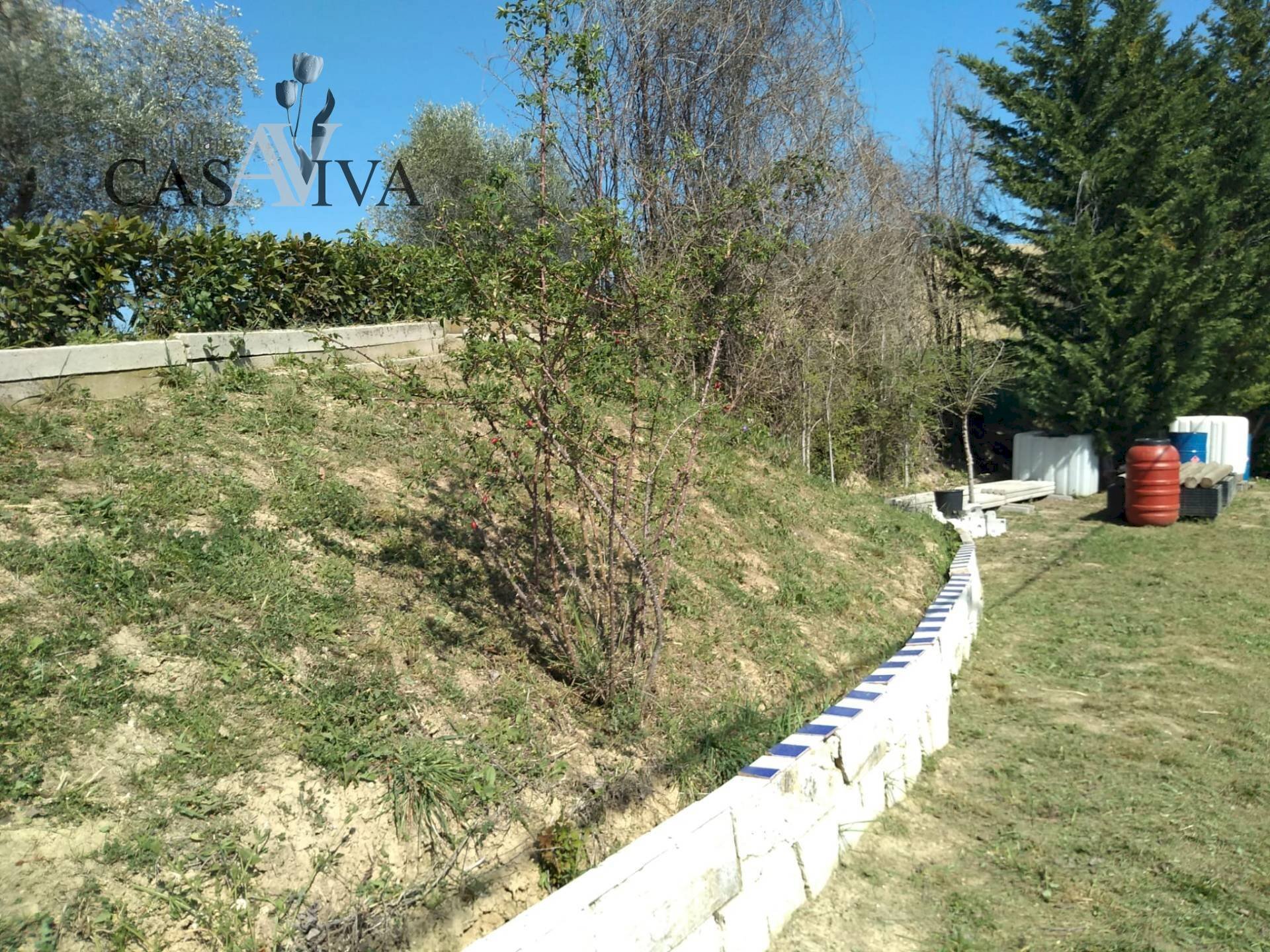 Foto 3 - Terreno agricolo Contrada Forola, Acquaviva Picena - foto 3