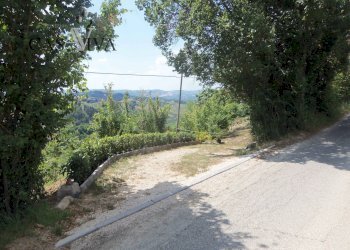 Foto 2 - Terreno agricolo Contrada Forola, Acquaviva Picena - foto 2