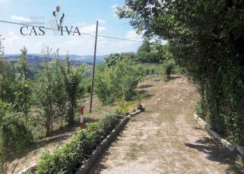 Foto 5 - Terreno agricolo Contrada Forola, Acquaviva Picena - foto 5