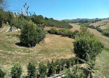 Foto 6 - Terreno agricolo Contrada Forola, Acquaviva Picena - foto 6