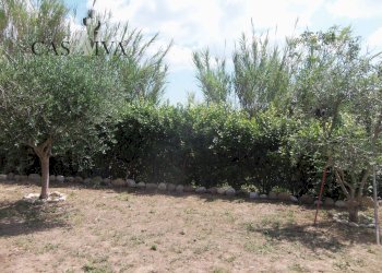 Foto 7 - Terreno agricolo Contrada Forola, Acquaviva Picena - foto 7