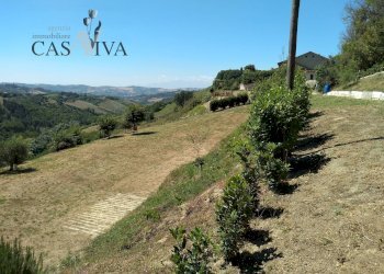 Foto 8 - Terreno agricolo Contrada Forola, Acquaviva Picena - foto 8