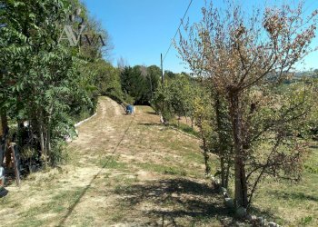 Foto 9 - Terreno agricolo Contrada Forola, Acquaviva Picena - foto 9