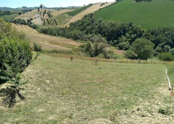 Foto 10 - Terreno agricolo Contrada Forola, Acquaviva Picena - foto 10