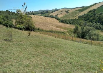Foto 12 - Terreno agricolo Contrada Forola, Acquaviva Picena - foto 12