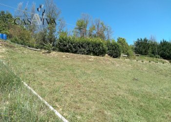 Foto 14 - Terreno agricolo Contrada Forola, Acquaviva Picena - foto 14