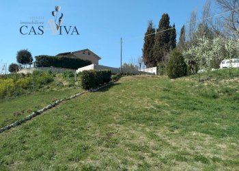 Foto 16 - Terreno agricolo Contrada Forola, Acquaviva Picena - foto 16