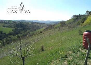 Foto 17 - Terreno agricolo Contrada Forola, Acquaviva Picena - foto 17