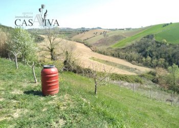 Foto 18 - Terreno agricolo Contrada Forola, Acquaviva Picena - foto 18