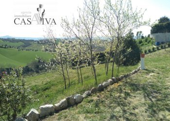 Foto 20 - Terreno agricolo Contrada Forola, Acquaviva Picena - foto 20