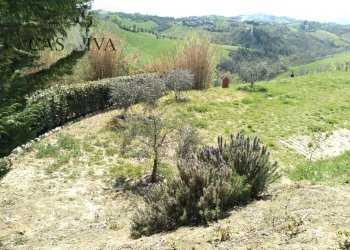 Foto 22 - Terreno agricolo Contrada Forola, Acquaviva Picena - foto 22