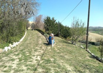 Foto 25 - Terreno agricolo Contrada Forola, Acquaviva Picena - foto 25