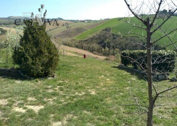 Foto 26 - Terreno agricolo Contrada Forola, Acquaviva Picena - foto 26