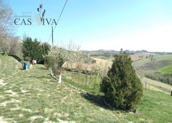 Foto 27 - Terreno agricolo Contrada Forola, Acquaviva Picena - foto 27